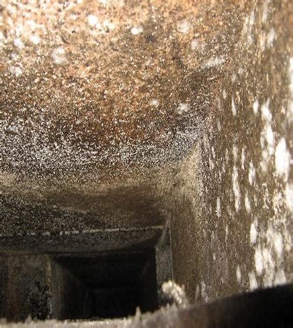 can mold build-up in my distribution box|mold in ductwork.